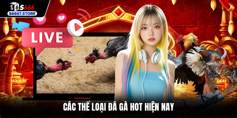 Các thể loại đá gà hot hiện nay